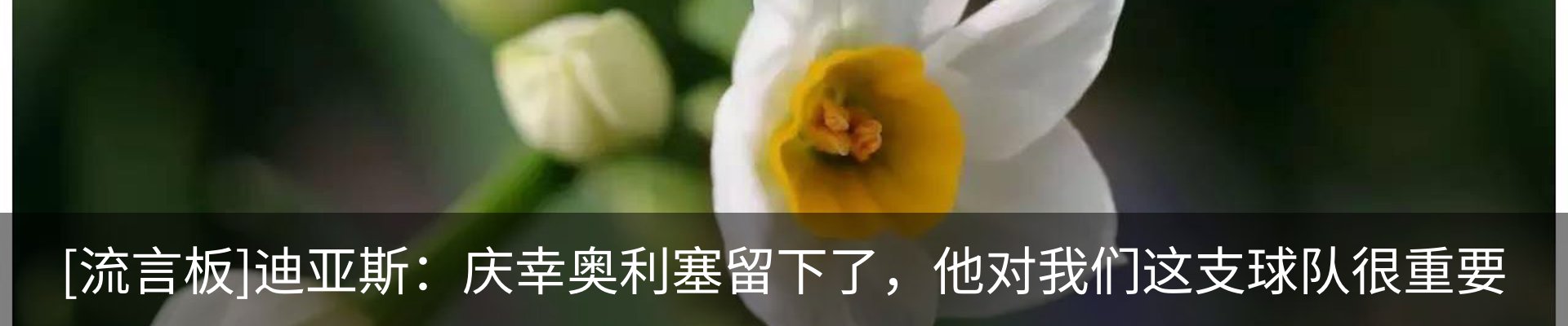 最新动态